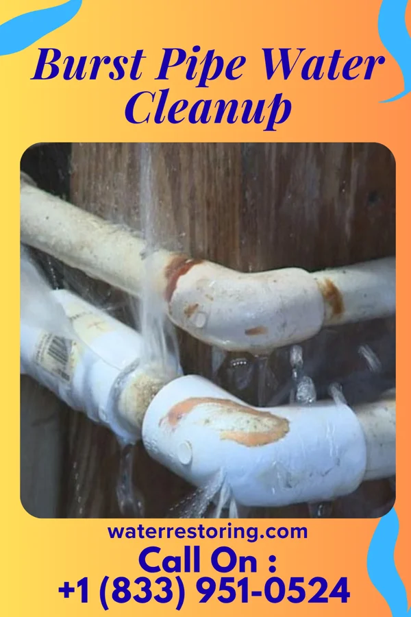 Burst Pipe Water Cleanup in East Rockaway, NY